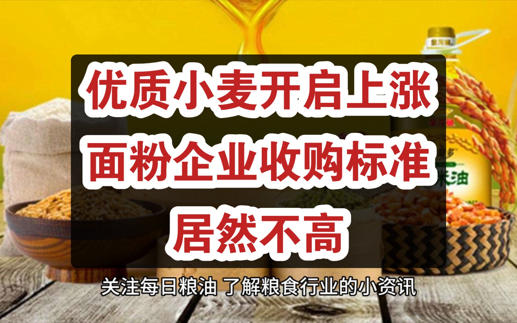 优质小麦小麦开启上涨之路,面粉企业收购标准居然不高,黑龙江举行鲜食玉米采购交易会,价格不高哔哩哔哩bilibili