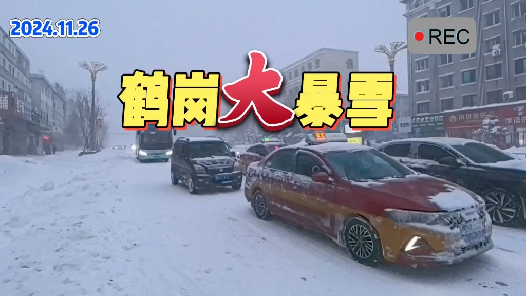 鹤岗大暴雪哔哩哔哩bilibili