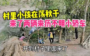 Download Video: 乡村防疫，被封的村子突然开进来历不明的小轿车，村民被吓得不轻