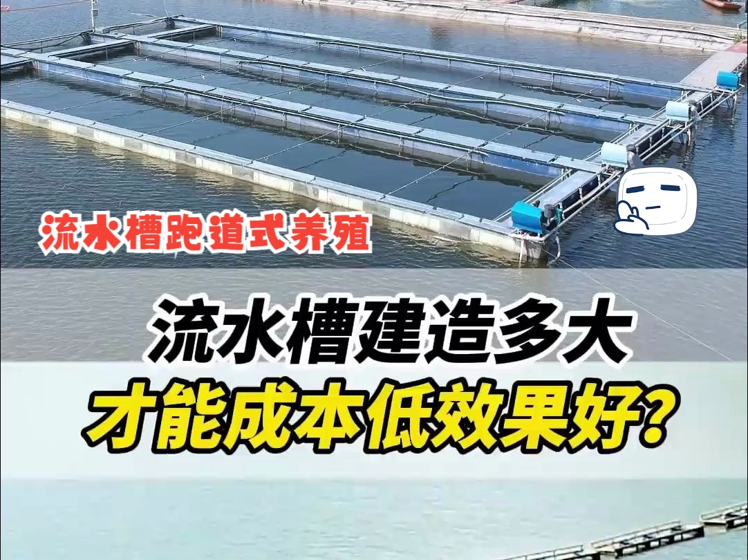 流水槽跑道式养殖建造多大,才能成本低效果好?哔哩哔哩bilibili