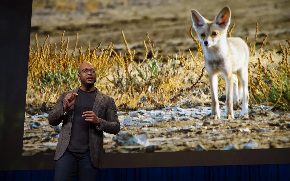 地球上的生命如何适应你和我 |肖恩·坎贝尔-斯坦顿 |泰德