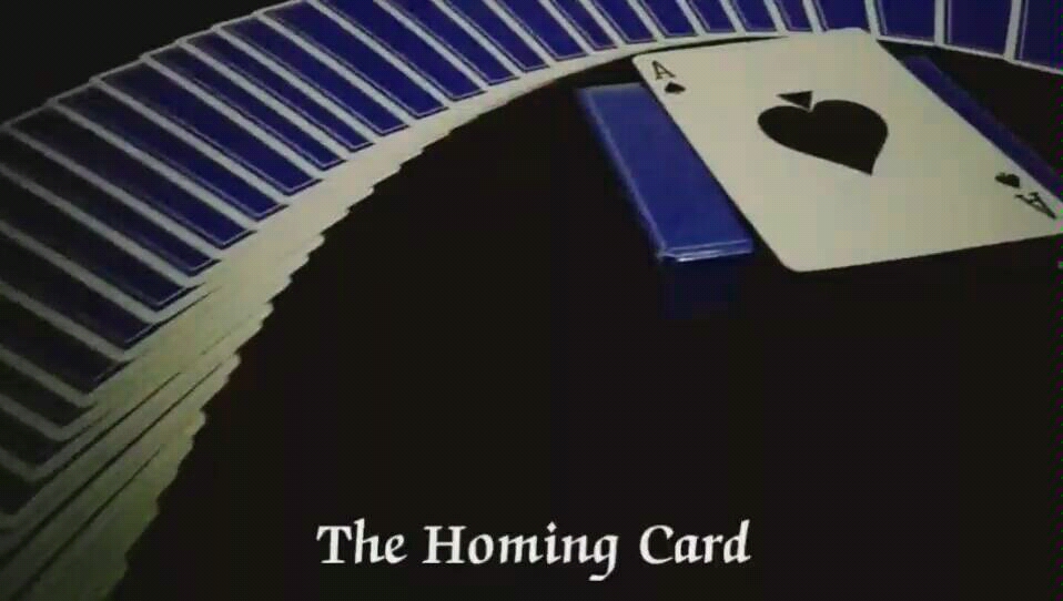 纸牌魔术《The Homing Card》表演者宋柏哔哩哔哩bilibili