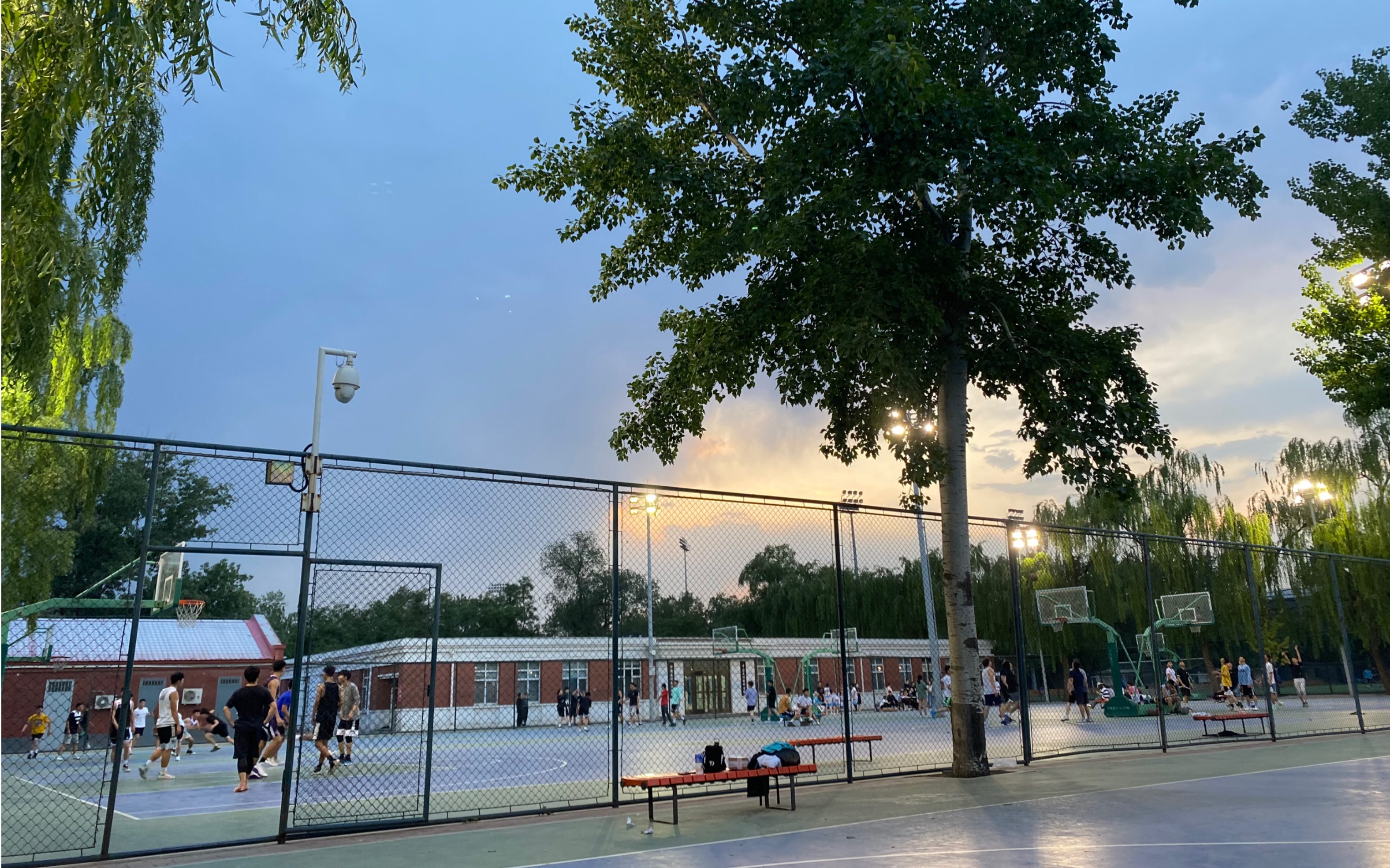 北体大的夏天来啦 球场 晚风 烧烤 还有小麦果汁