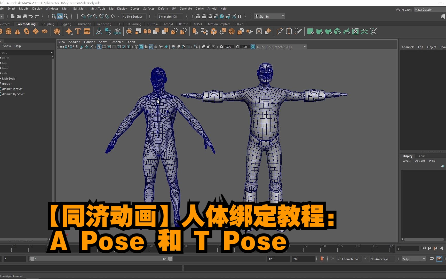 【同济动画】人体绑定教程:A Pose 和 T Pose哔哩哔哩bilibili