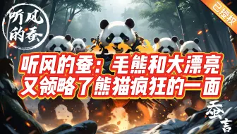 听风的蚕：毛熊和大漂亮又领略了熊猫疯狂的一面