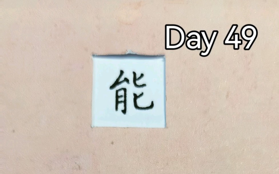 100个常用规范字百日打卡Day49:“能”字,#百日打卡#零基础学硬笔哔哩哔哩bilibili