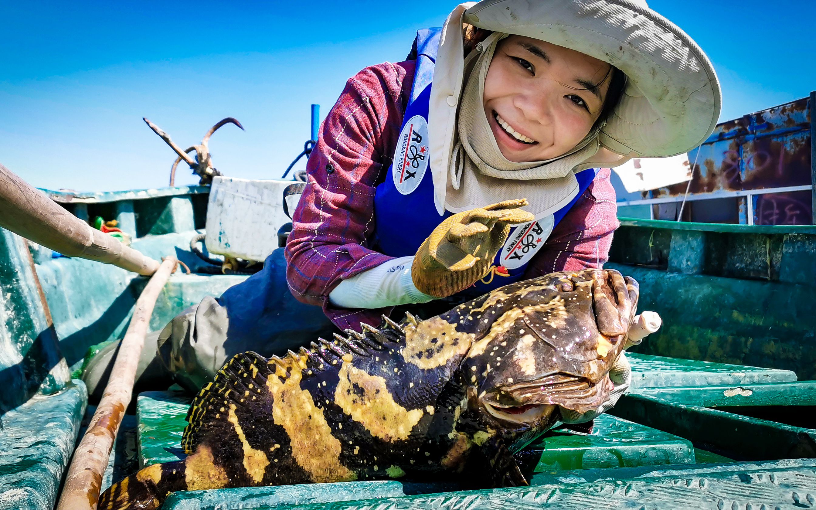 佳佳台风前赶海收排钩,收到连抄网都装不下的大货,这鱼得多大啊