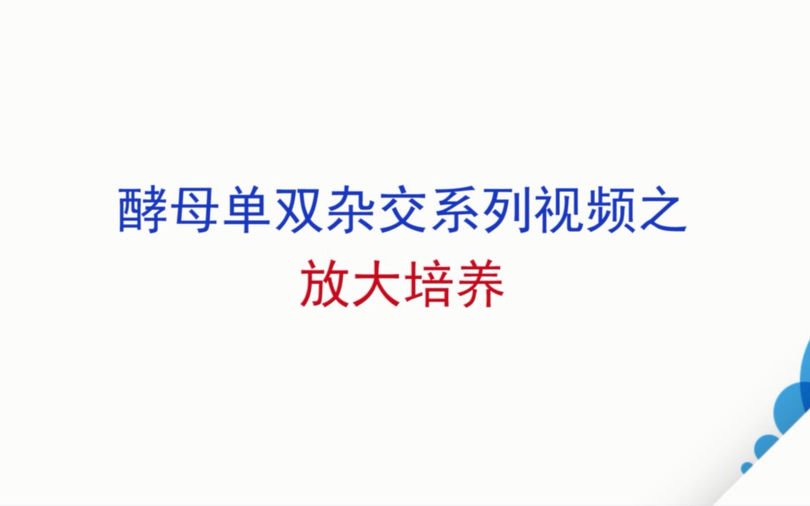 酵母单/双杂交系列操作视频第四弹放大培养哔哩哔哩bilibili