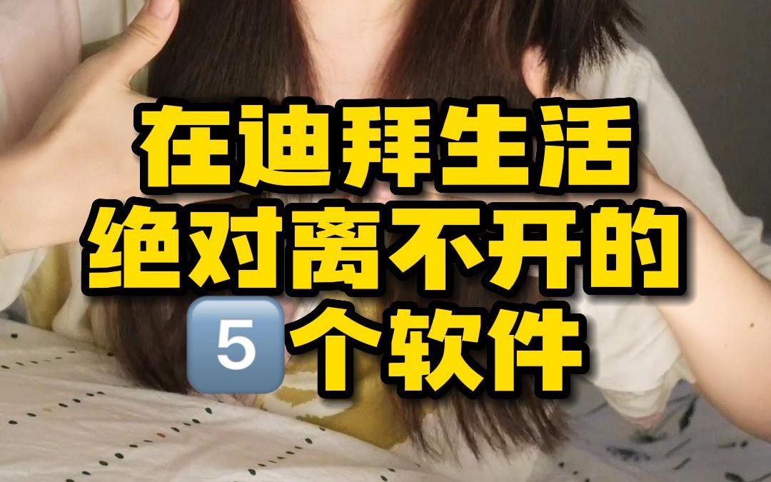 在迪拜,绝对离不开这5个超实用软件,省心省力更加便利!哔哩哔哩bilibili