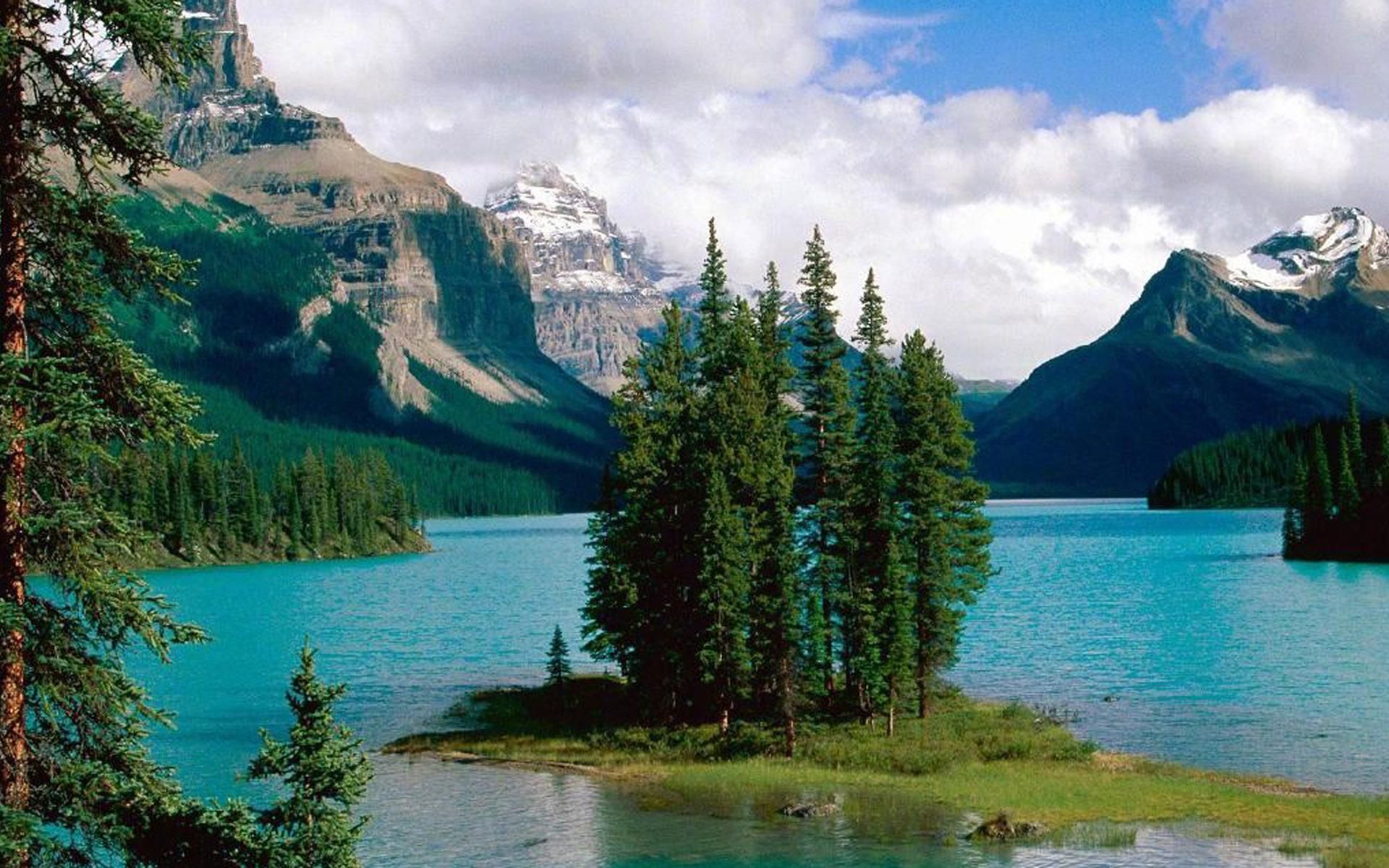 6_导入表格批量生成二维码并自动排版到a4纸上_210322_合并