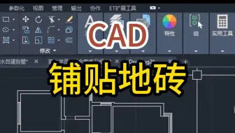 CAD铺贴地砖