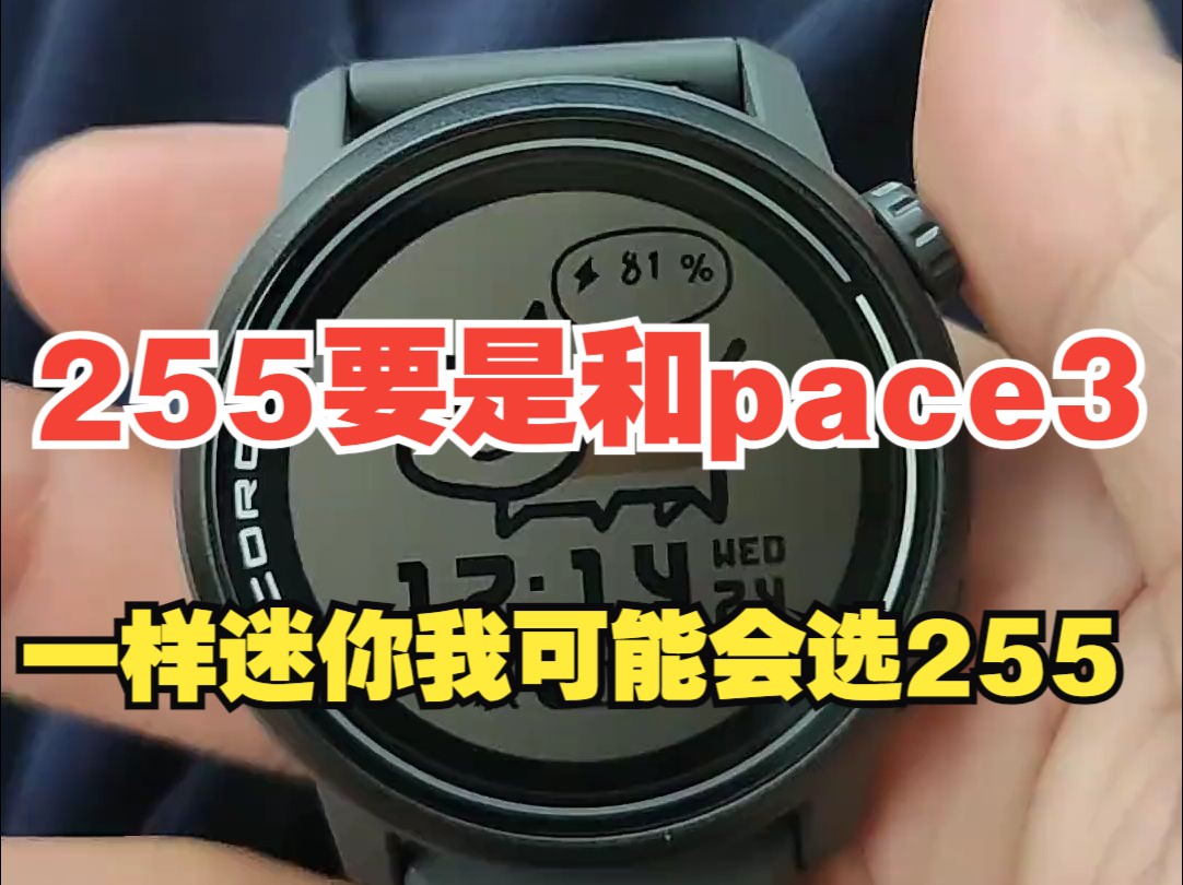 255要是和pace3一样迷你我可能会选255哔哩哔哩bilibili