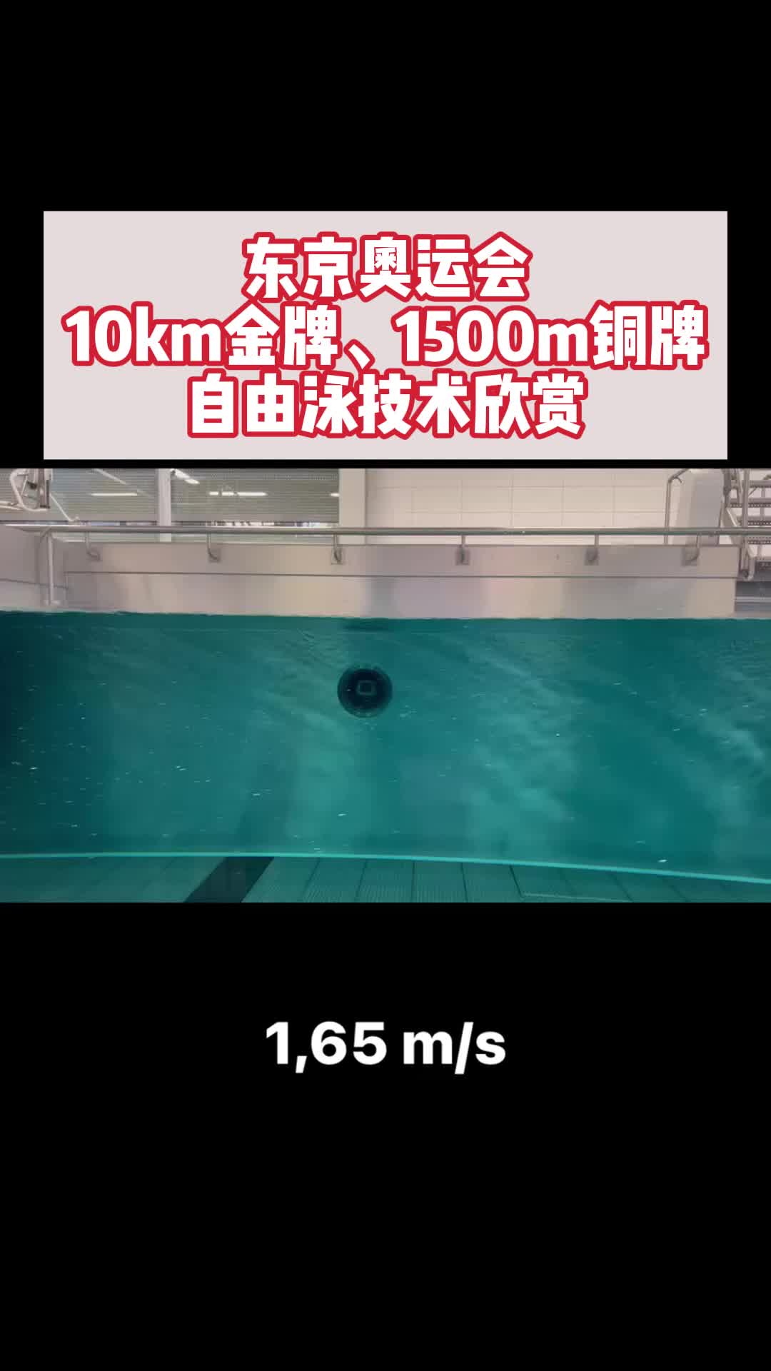 东京奥运会10km金牌1500铜牌自由泳技术欣赏哔哩哔哩bilibili