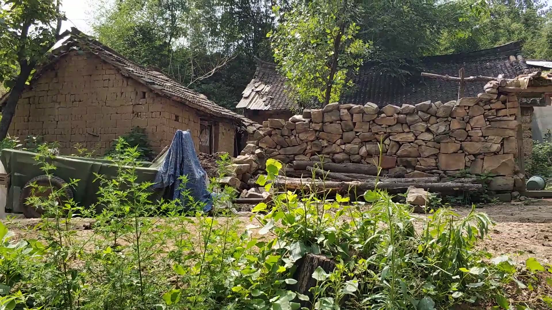 实拍:河南农村深山里的美景,天然淳朴,真想住在这里不走了