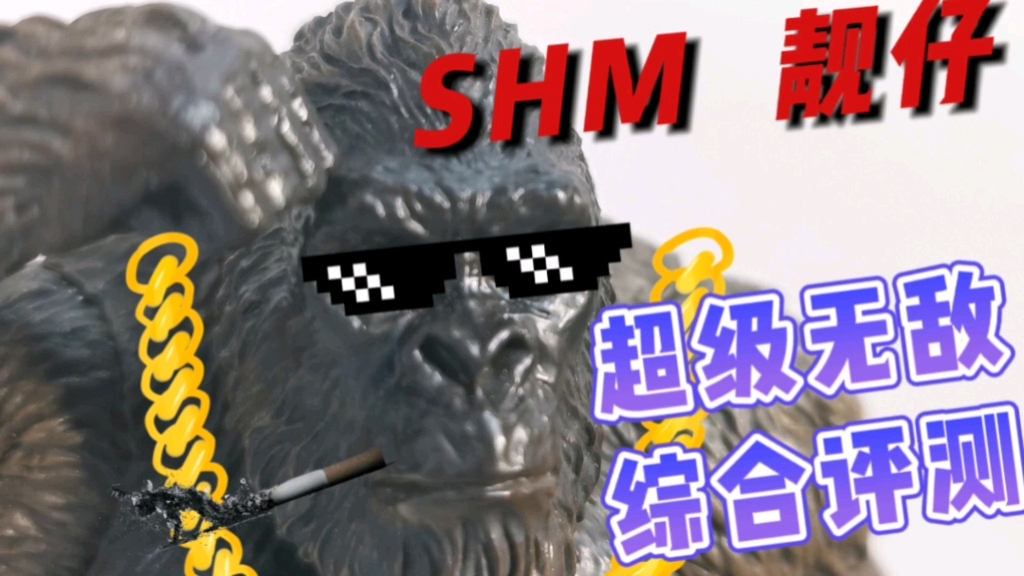 全网最全!SHM金刚超详细评测!哔哩哔哩bilibili