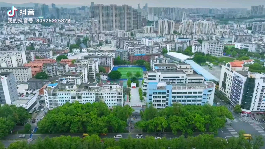 2023年研究性学习成果展示哔哩哔哩bilibili