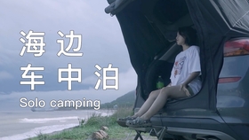 车中泊装备分享 卖掉公司去旅行 轻型房车露营 车中泊 哔哩哔哩 つロ干杯 Bilibili