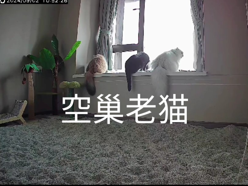 忙,都忙,忙点好啊