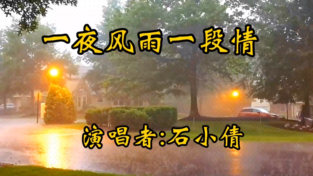 [图]《一夜风雨一段情》热情奔放的旋律，动听满满都是回忆呀