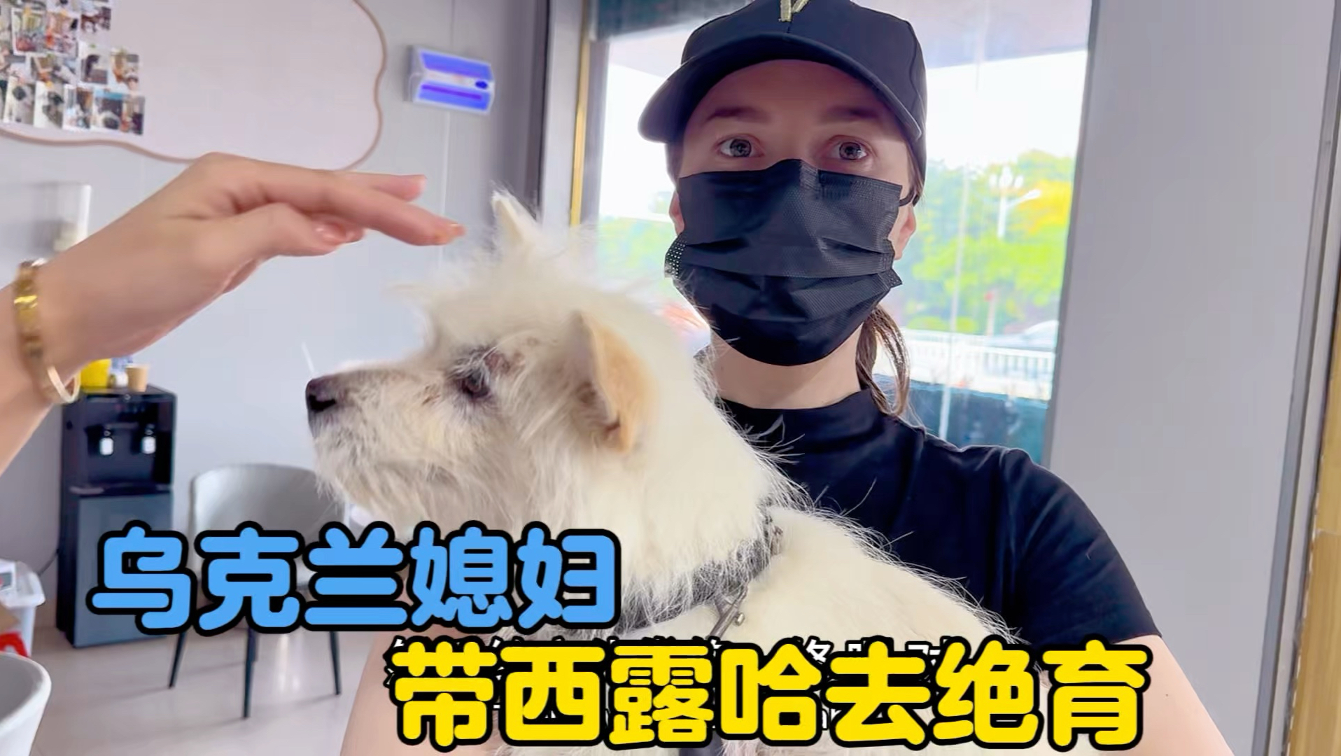 西露哈每次产后都跟脱了层皮似的，卡佳计划带它去解决这个问题-中国媳妇卡佳-中国媳妇卡佳-哔哩哔哩视频
