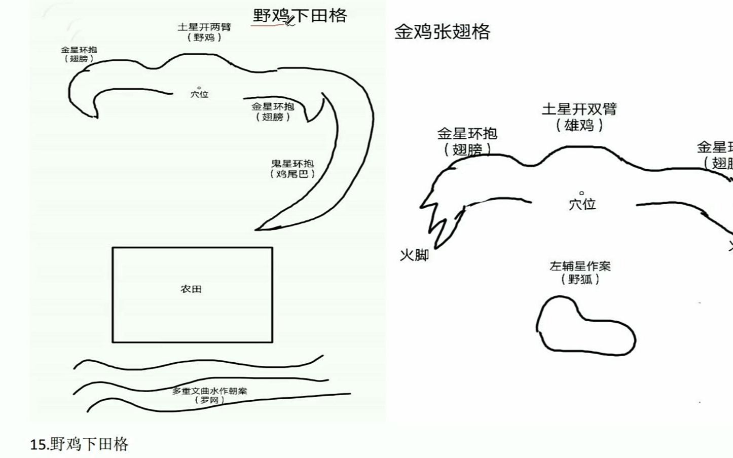 杨公风水喝形取象72图解(十二):野鸡下田、金鸡展翅 林来锦哔哩哔哩bilibili