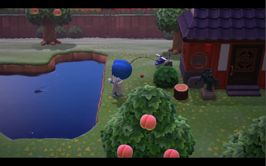 动物森友会/被鱼影戏弄的我的一生