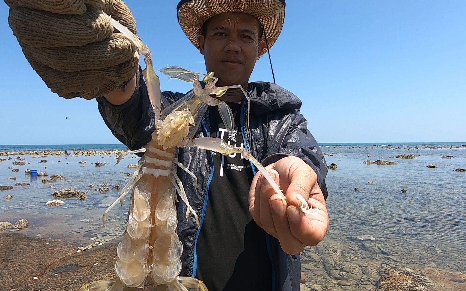 阿平赶海抓到手臂长的大海鳝,又抓大个皮皮虾,准能卖个好价钱