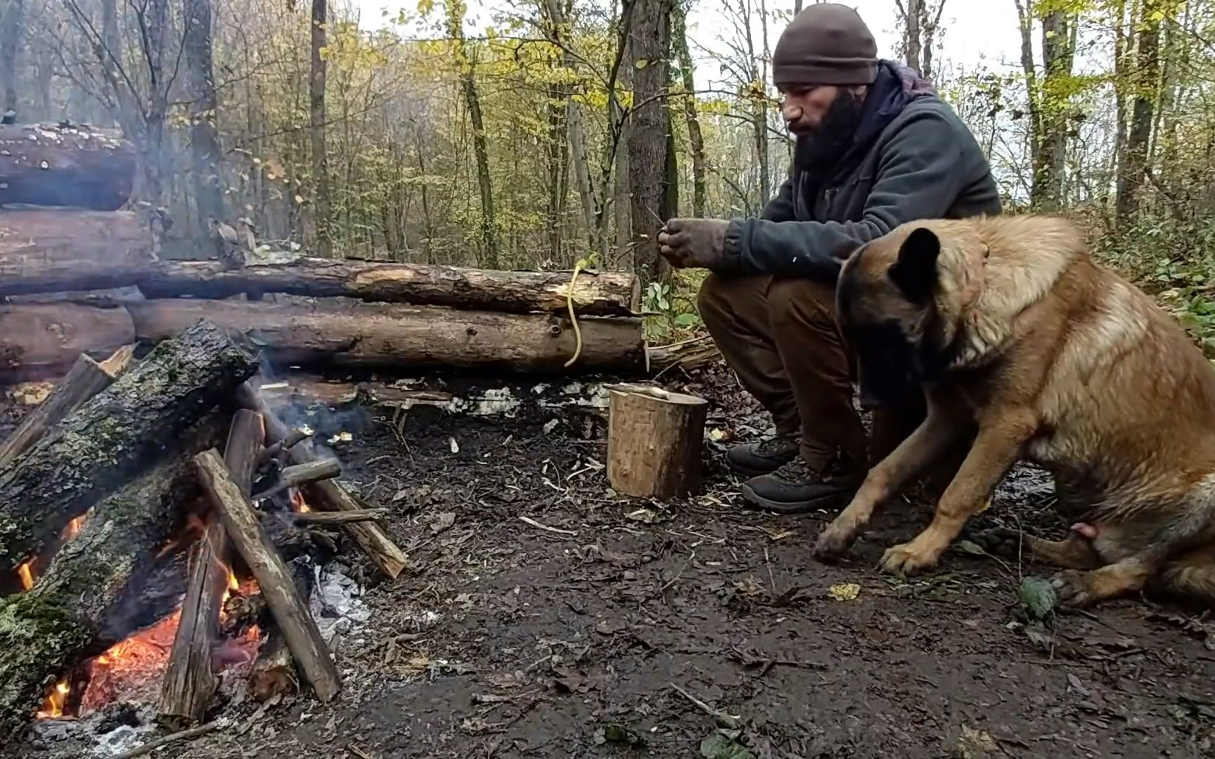 [图]一人一狗森林里野营-独行冬季丛林露营，营火烹饪，制作弹弓，脱离电网，野外露营