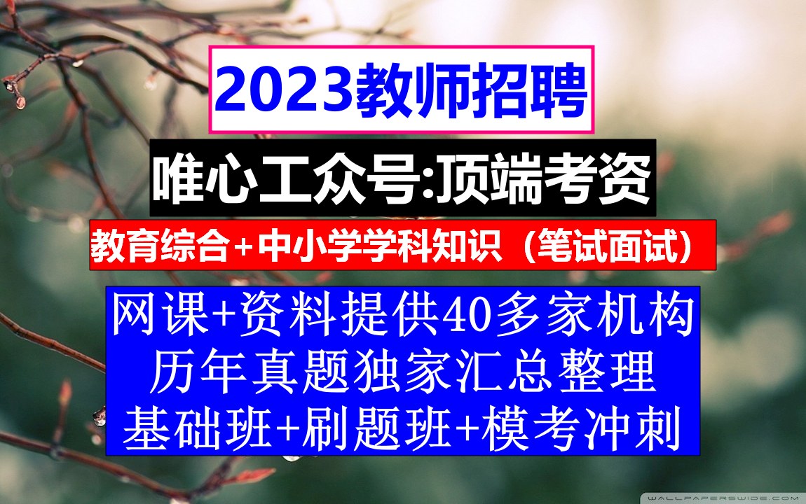 2023青海省教师招聘教育基础知识,考研辅导老师招聘,教招报名时间哔哩哔哩bilibili