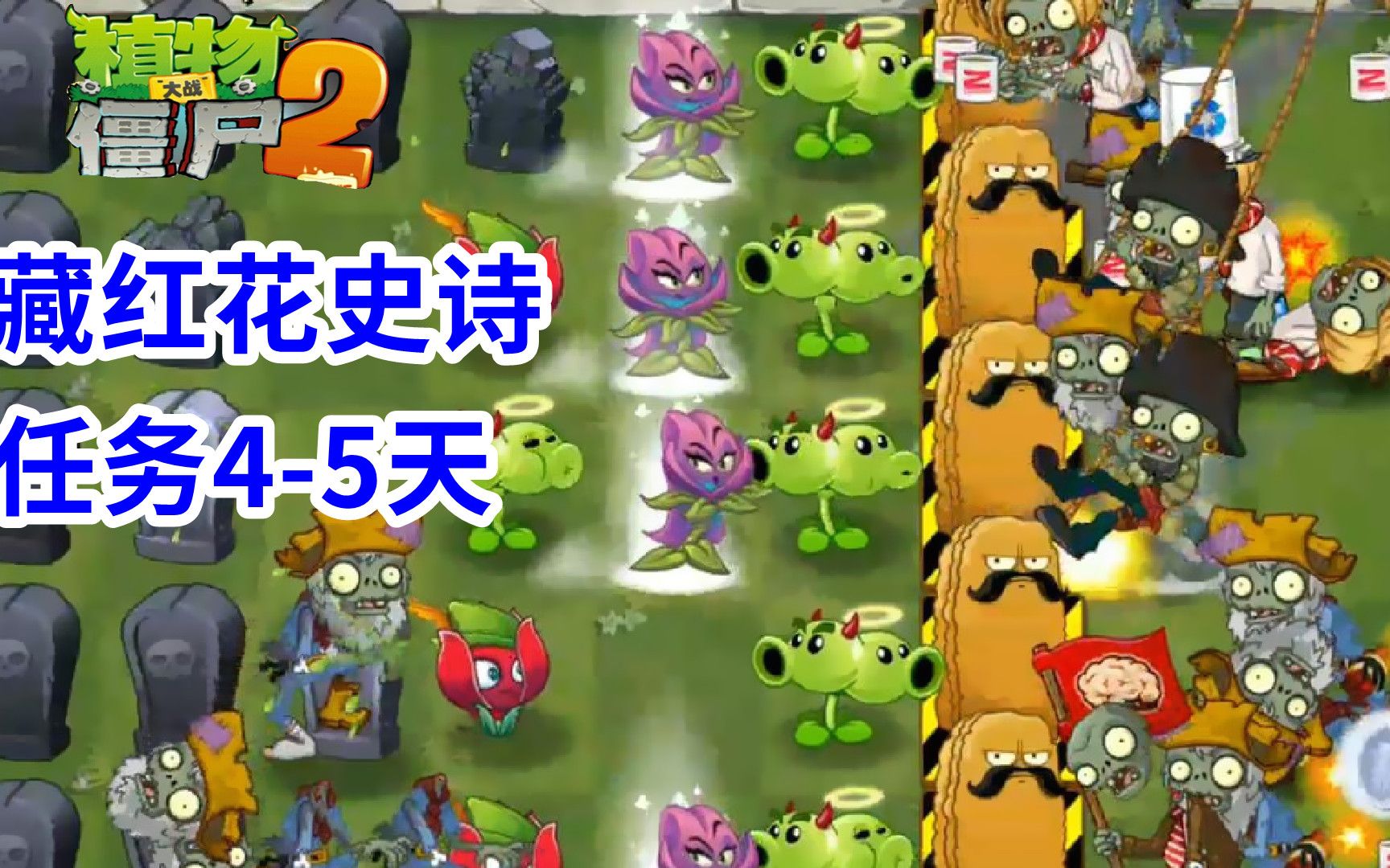 植物大战僵尸2:藏红花史诗任务4-5天,保护好高坚果!
