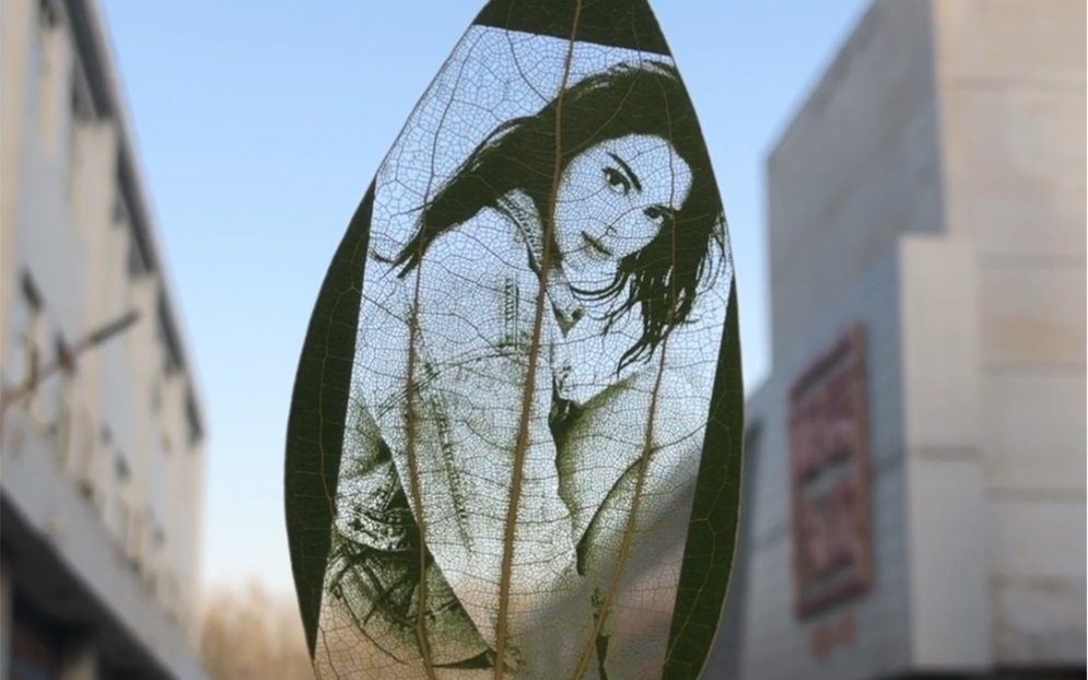 周末摆摊雕刻树叶照片去,一片小树叶卖个100多