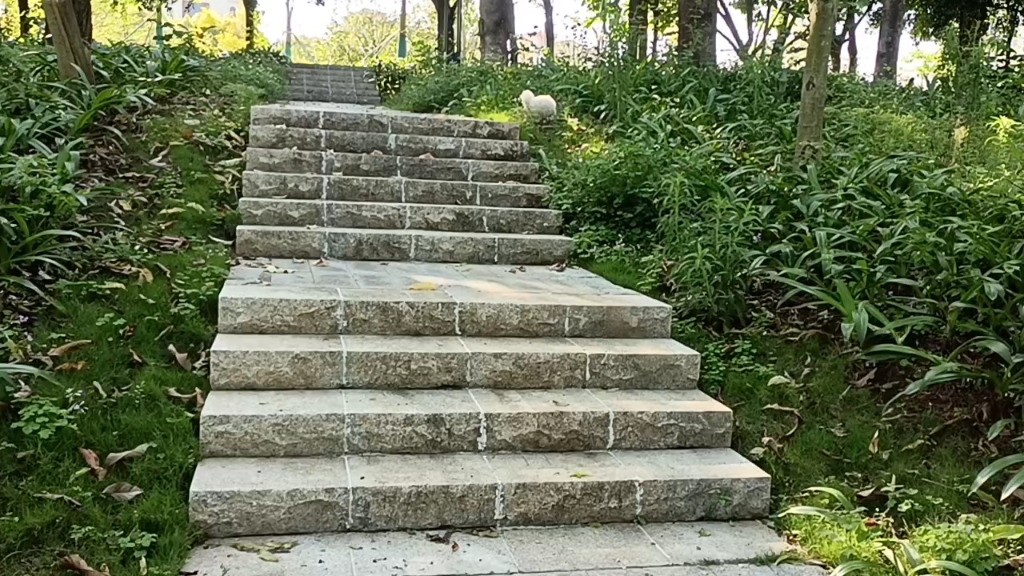 萌宠公园里下步梯挺快的