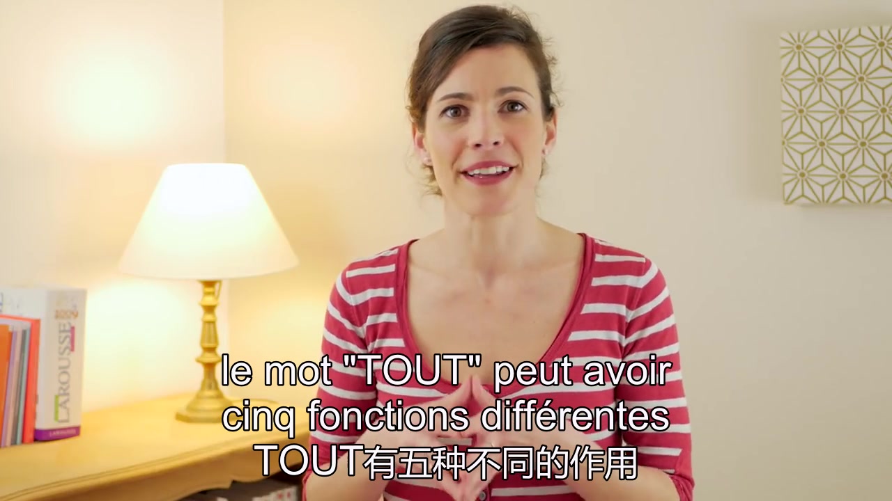 法语语法 Tout toute tous toutes 的用法 (中文字幕)哔哩哔哩bilibili