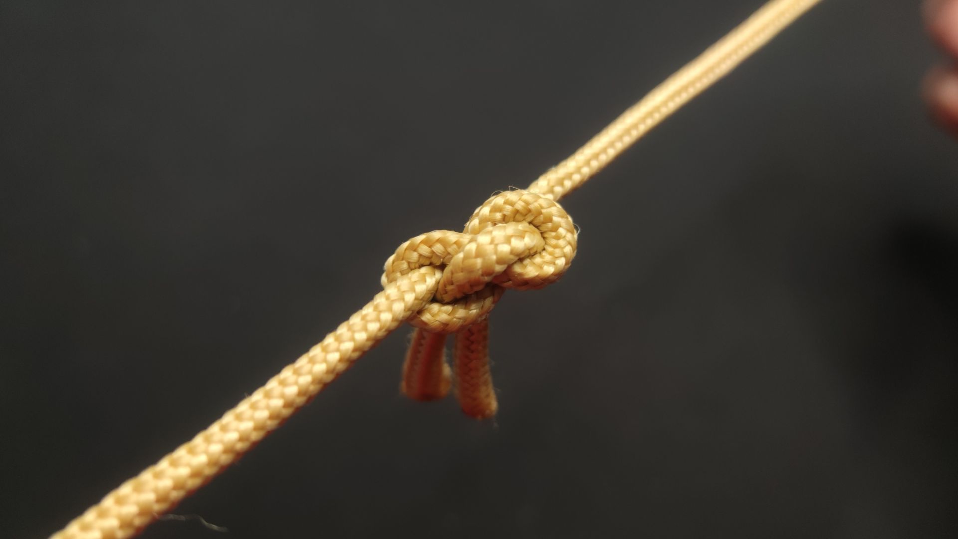 活了30年才知道,生活中实用绳结都是这样系的