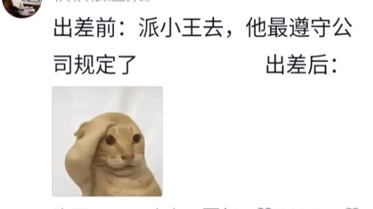 “公司规定”是最强的免死金牌?