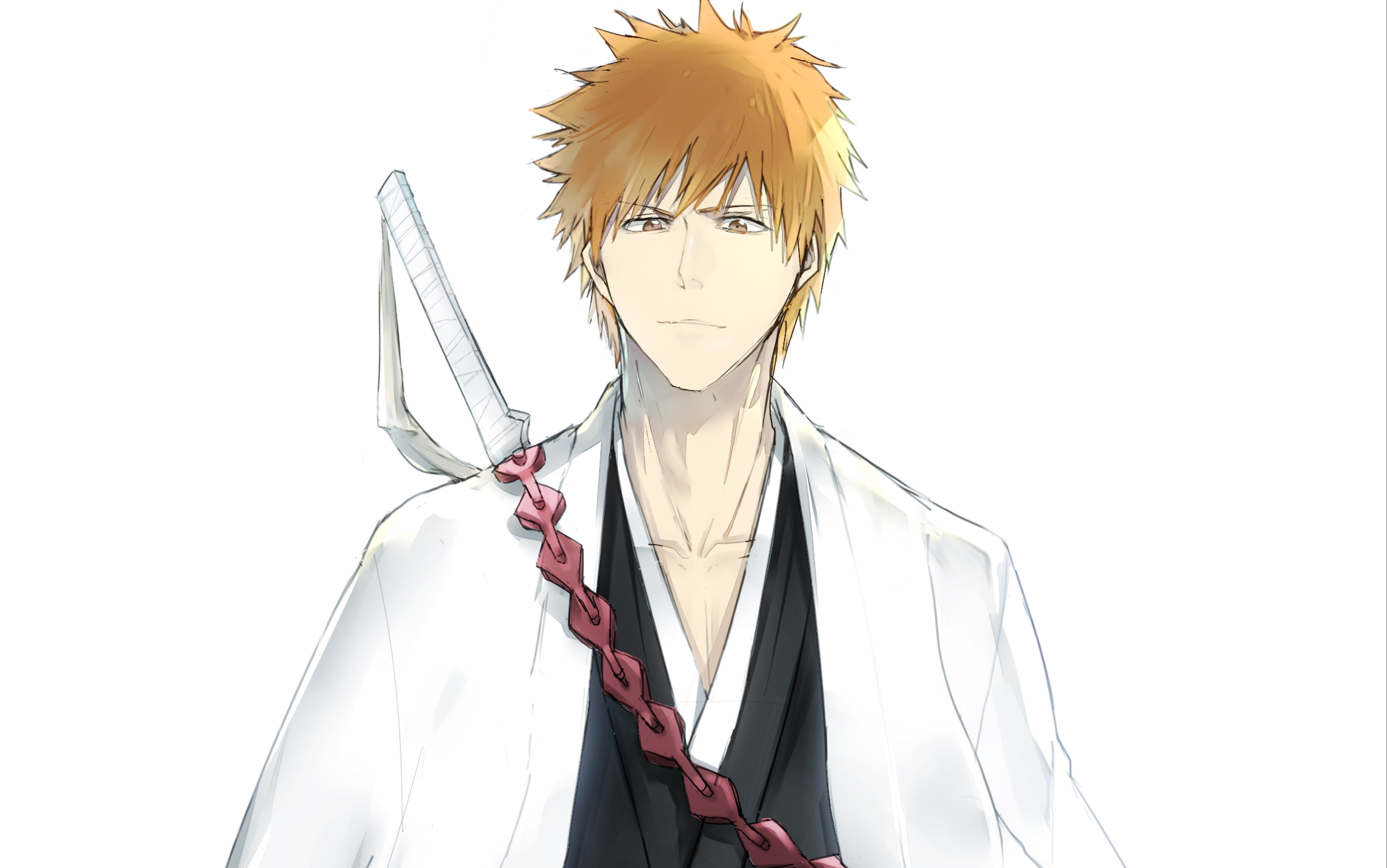 露琪亚久等了我回来啦千年血战篇预热