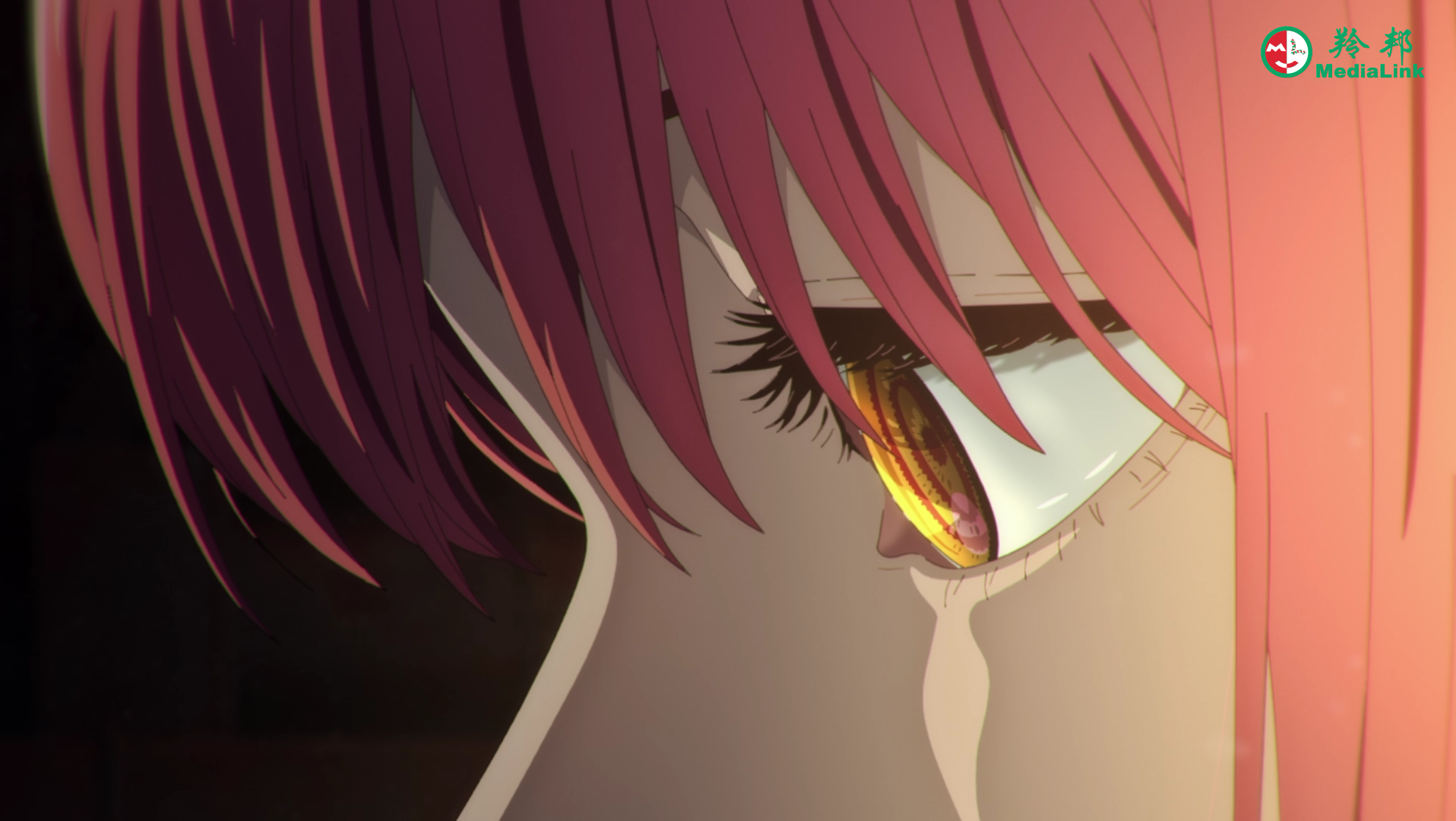 电锯人#动画pv 声优阵容电次:戸谷菊之介玛奇玛:楠木灯早川秋:坂田将