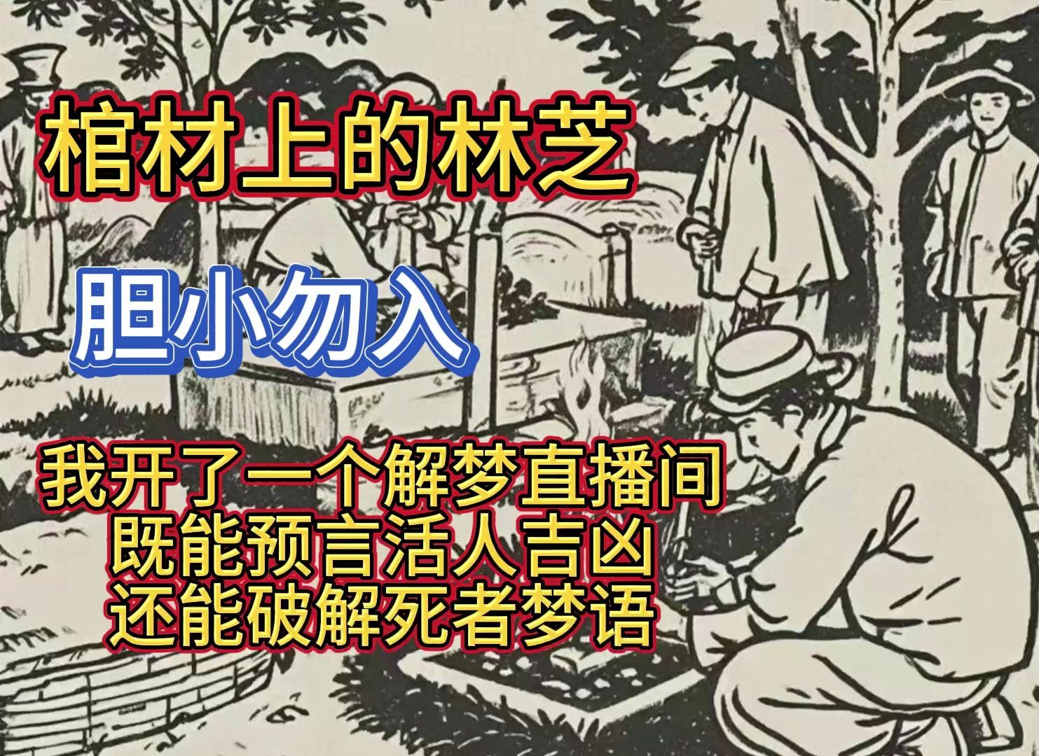 棺材上的林芝——我开了一个解梦直播间,既能预言活人吉凶,还能破解死者梦语哔哩哔哩bilibili