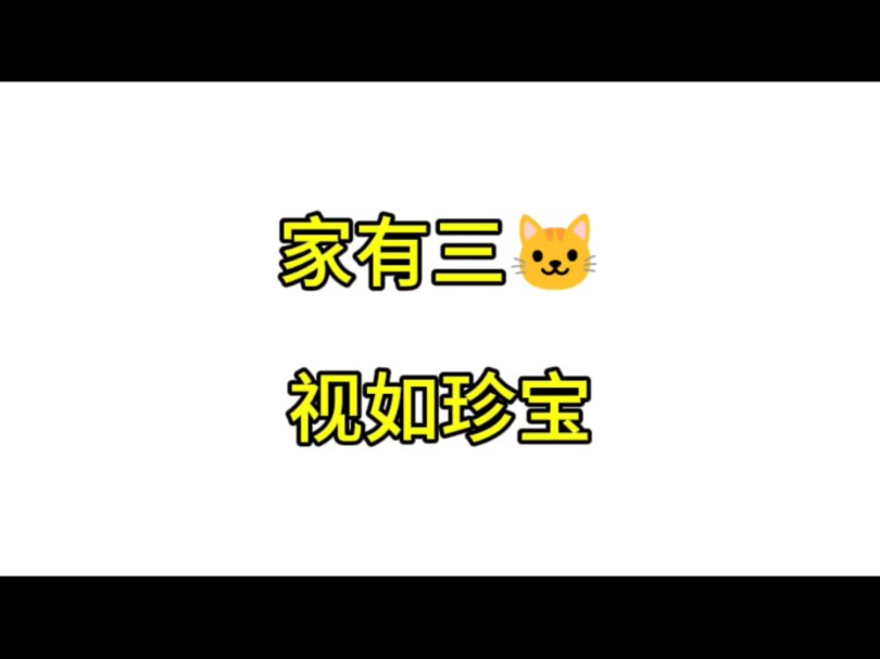 【由淼 由莱恩 由莱财】家有三猫 视如珍宝哔哩哔哩bilibili