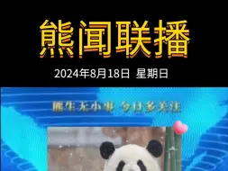 Download Video: 《熊闻联播》｜带你了解天下熊事，2024.8.18熊圈又发生了什么？（原视频素材来源网络）