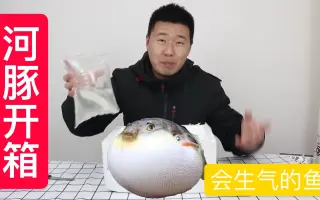 河豚有剧毒 搜索结果 哔哩哔哩 Bilibili