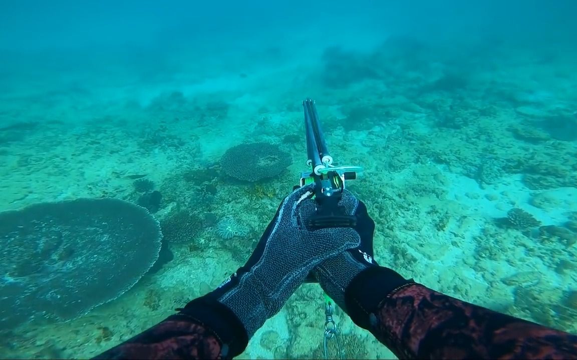 【潜水】牙鱼镇!在穆龙群岛用鱼叉捕鱼