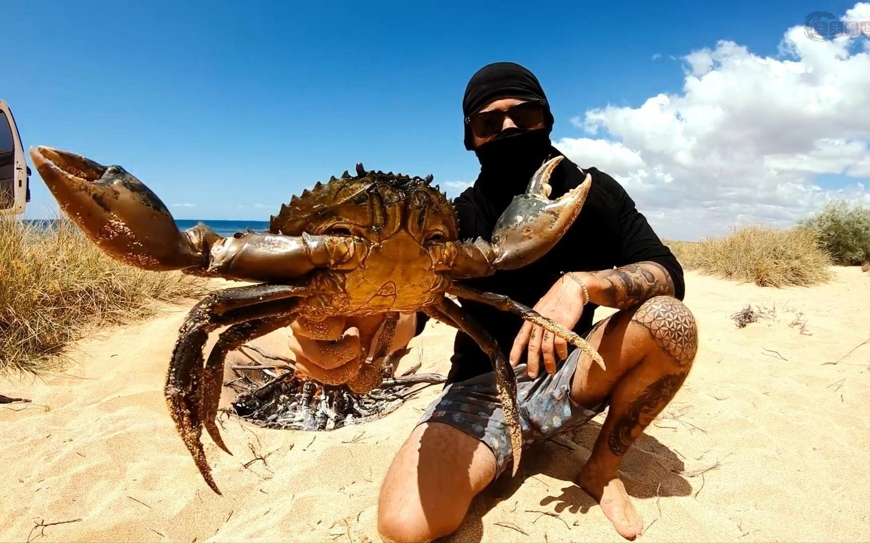 荒島求生第18集--索羅帶著狗子-在海島度過一天一夜,品嚐野生動物