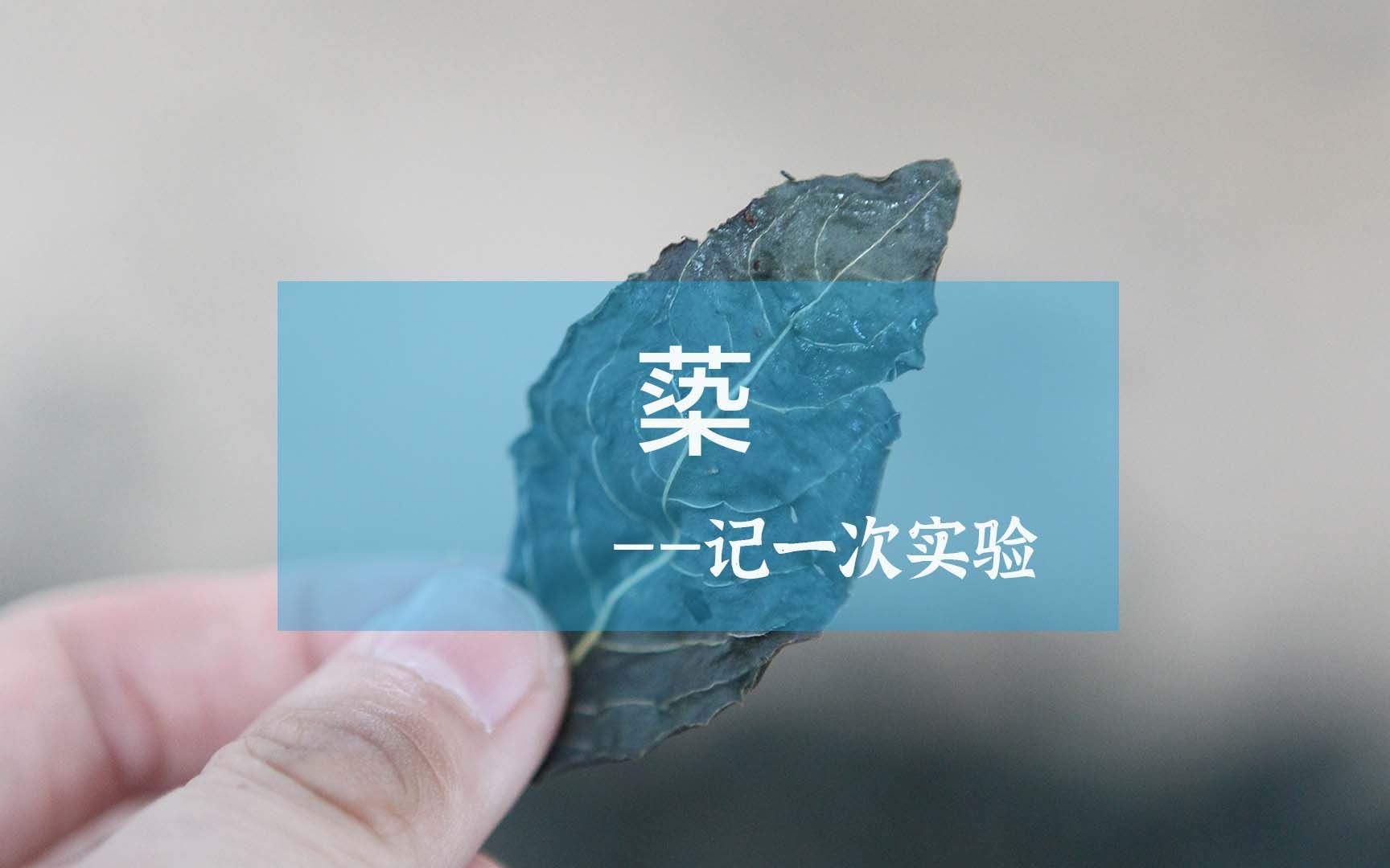 【蒅】| 用另一种方法,把蓼蓝叶子里的蓝色提取出来,我们叫它——【蒅】.哔哩哔哩bilibili