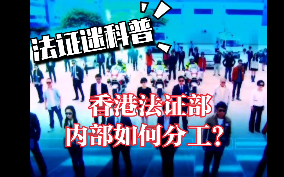 法证迷科普:香港法证部的内部如何分工?哔哩哔哩bilibili