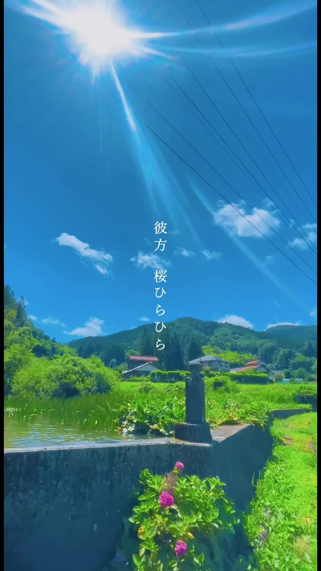 夏の曲できた.𐟎Video by @ゆない哔哩哔哩bilibili