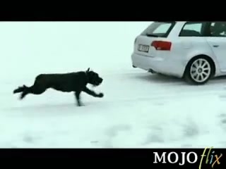 奥迪汽车广告AudiQuattro advertisement哔哩哔哩bilibili