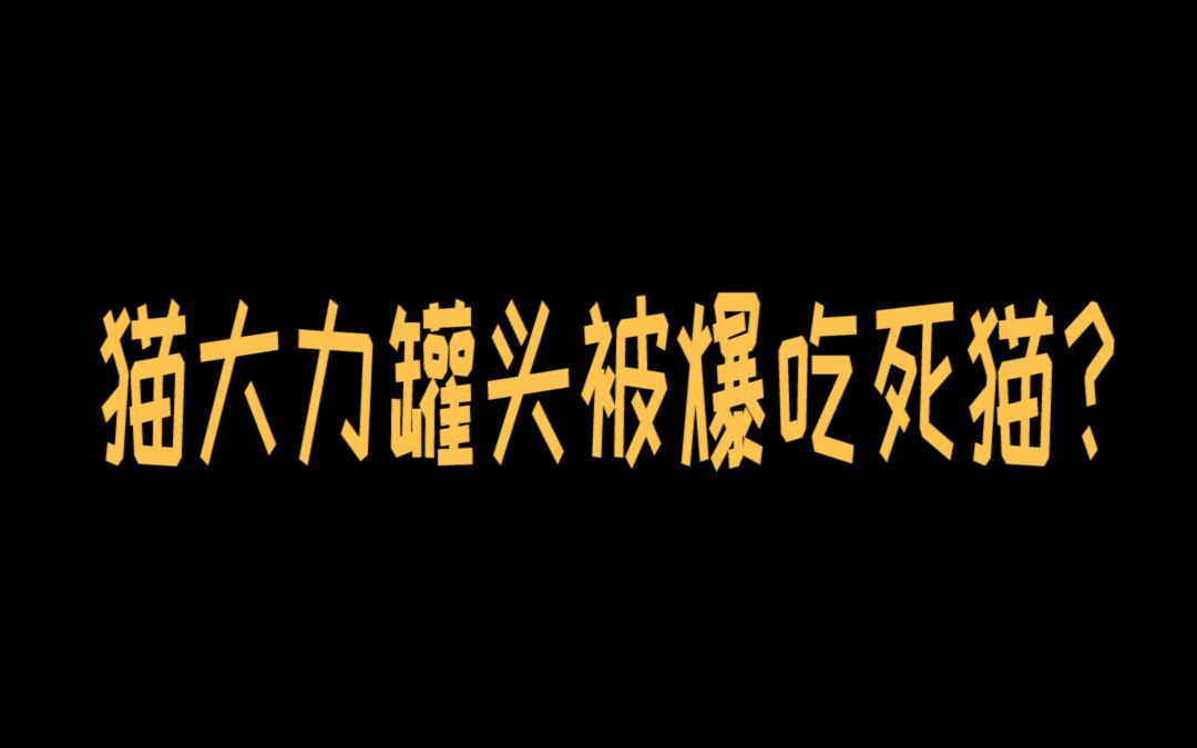 有人爆猫大力罐头吃死猫,如何看待猫食品吃死猫事件?哔哩哔哩bilibili