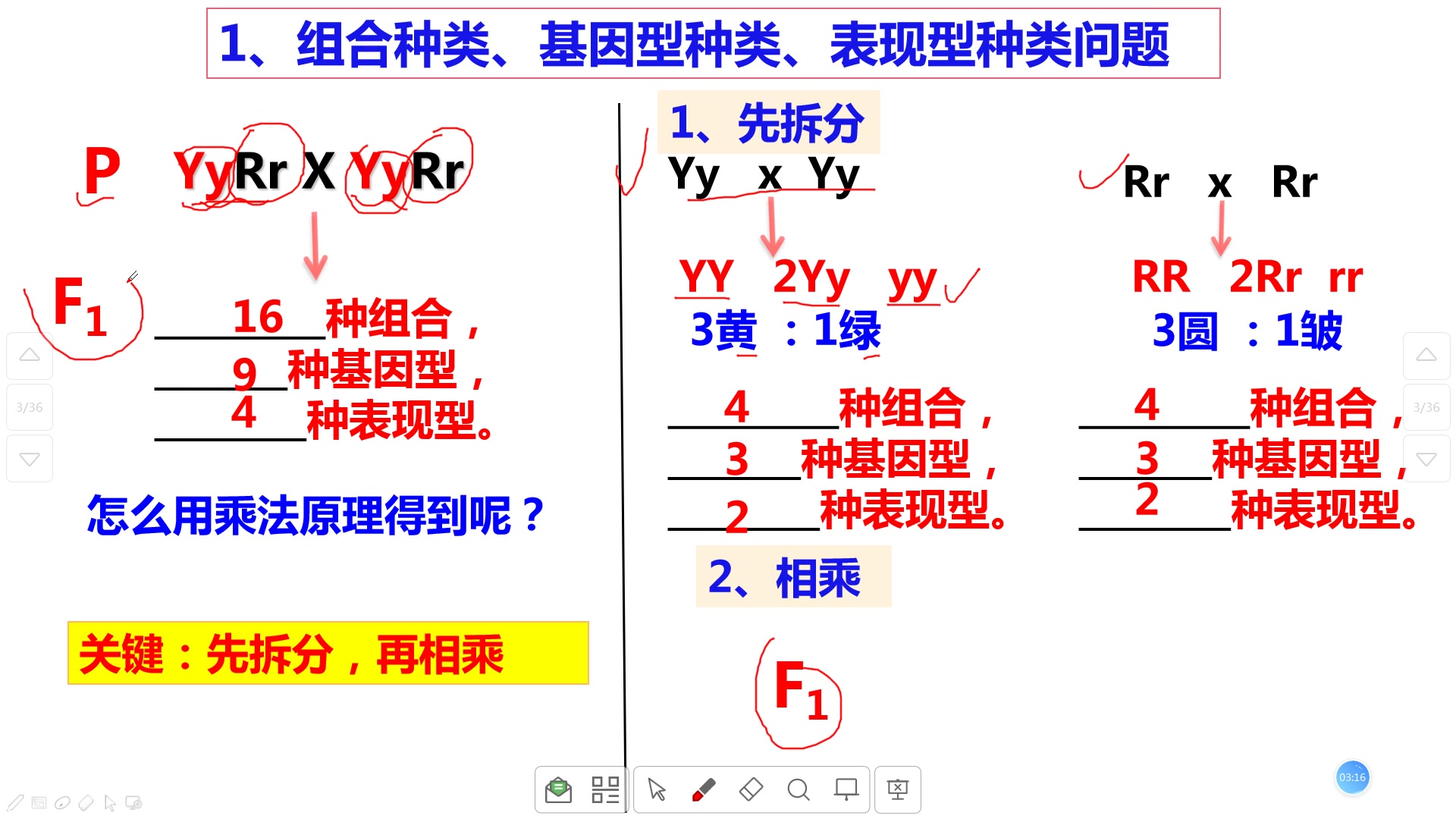 必修二 1.2 自由組合定律計算技巧1_嗶哩嗶哩_bilibili