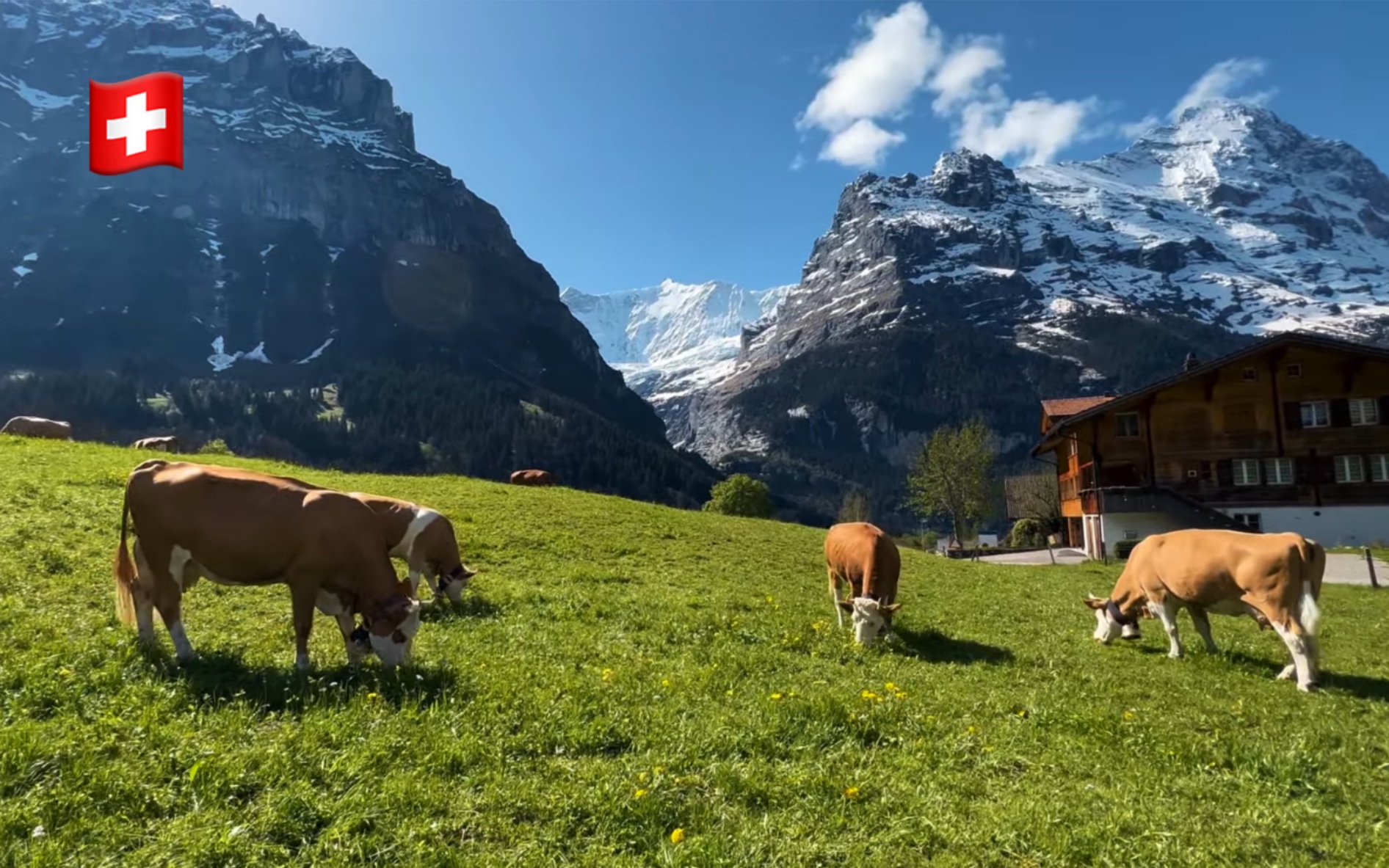 [图]【4K超清】漫步游瑞士-格林德瓦(Grindelwald)｜世界上最美丽的高山村庄 2022.6